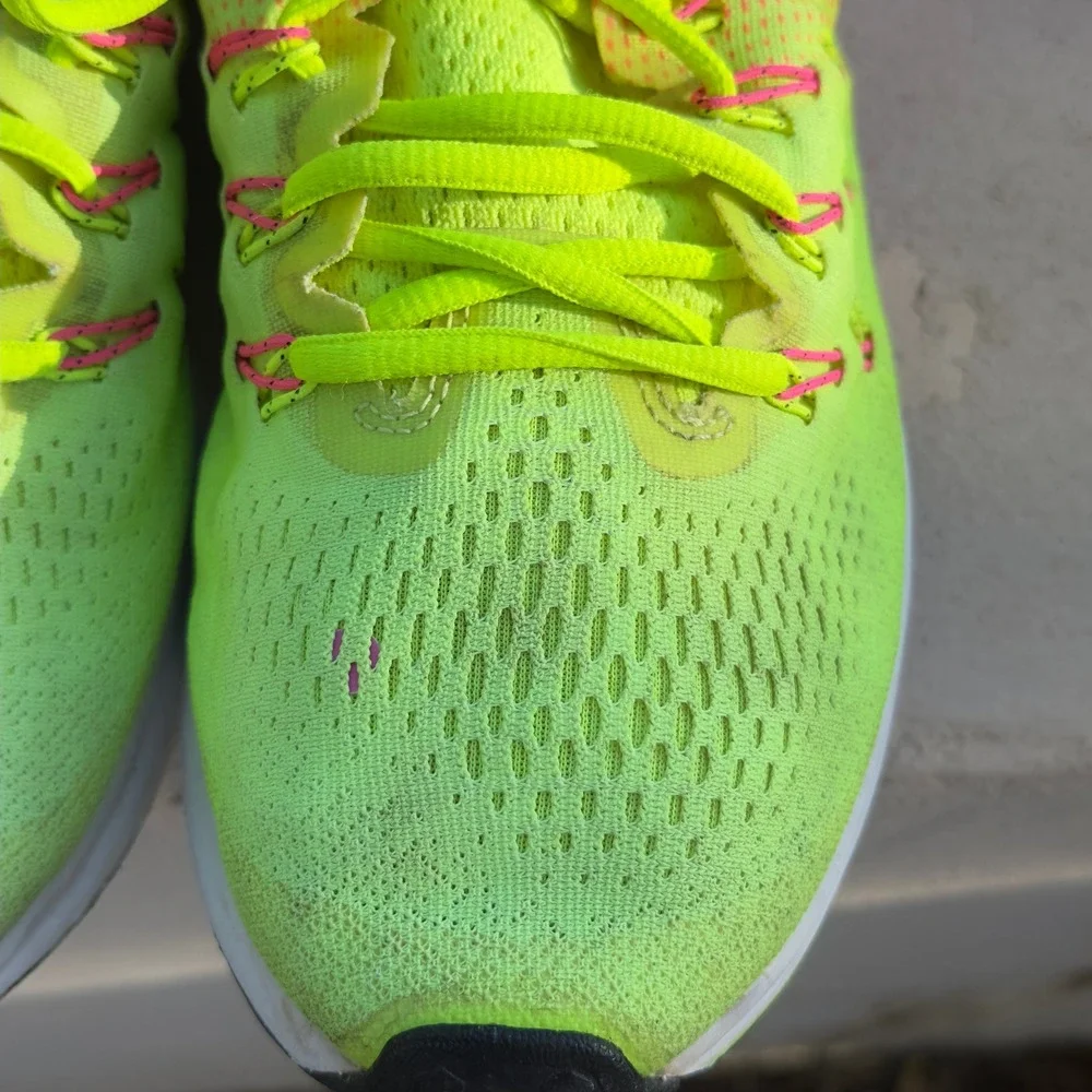 Nike zoom pegasus